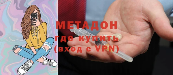 дмт Богданович