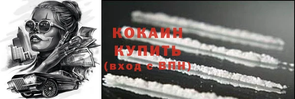 дмт Богданович