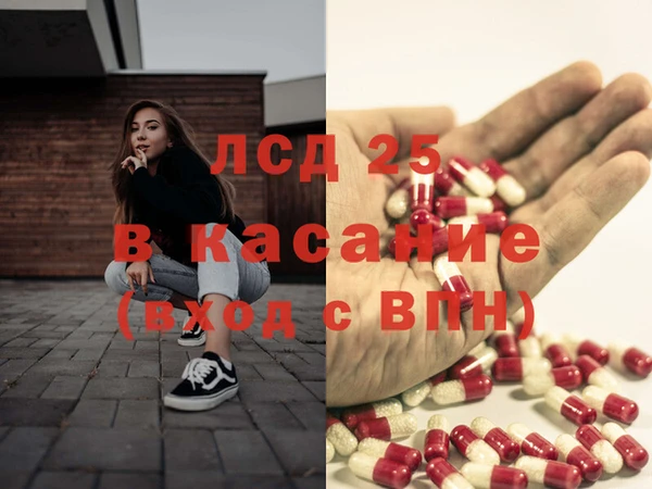 дмт Богданович