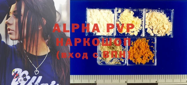 дмт Богданович