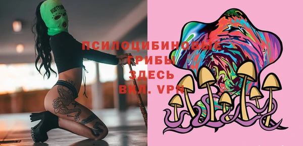 винт Богородицк